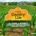 Country Life Calcium Magnesium - w/Vitamin D Complex - 240 Veggie Caps