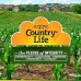Country Life Vitamin C Wafer 500 mg, 90 wafers