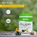 OZiva Plant Based Collagen Builder with Biotin & Silica, Acai Berry, Bamboo Shoot, Sea Buckthorn for Anti Aging Beauty, 0.55 lbs, 100% Natural & Vegan Friendly (250 g)
