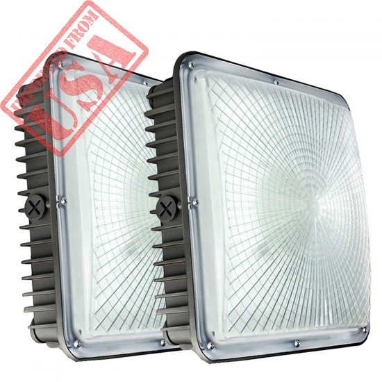 Original LED Canopy Lights Now in Pakistan