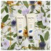 PHYTO 9 Nourishing Day Cream with 9 Plants