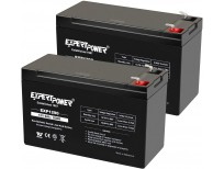 ExpertPower 12v 9ah Sealed Lead Acid Battery with F2 Terminals (.250")/2 Pack