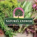 Nature's Answer Pueraria Mirifica Vegetarian Capsules, 60-Count