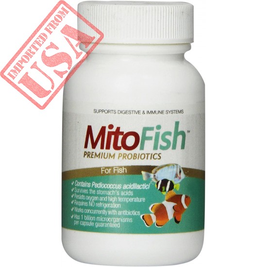 Imagilin Technology, LLC MitoFish Premium Pediococcus Based Probiotics and Prebiotics for Fish, 15 Capsules Per Bottle