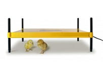 Brinsea Products Brooder for Warming Newly Hatched Chicks and Ducklings sale online in Pakistan
