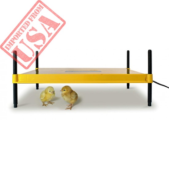 Brinsea Products Brooder for Warming Newly Hatched Chicks and Ducklings sale online in Pakistan