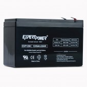 ExpertPower EXP1290 12 Volt 9 Amp Rechargeable Battery