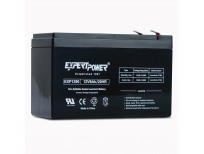 ExpertPower EXP1290 12 Volt 9 Amp Rechargeable Battery