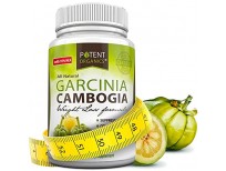 Buy Pure Garcinia Cambogia Extract 95% HCA Capsules Online in Pakistan