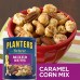 Buy imported Planters Deluxe Mixed Nuts, 15.25 Ounce Canister online in Pakistan 