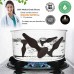 Real Vibes Butt Plug & Anal Plug Prostate Massager Enema Kit with Suction Cup & Anal Lube for Anal Dildo 
