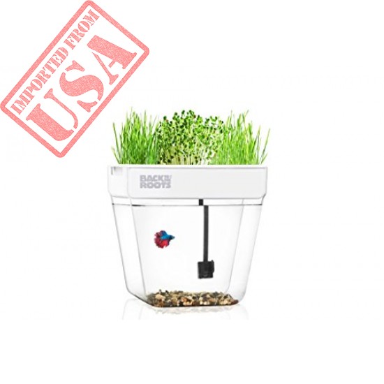 Buy online classic Quality Herb Aquarium starter Kit in Pakistan 