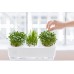 Buy online classic Quality Herb Aquarium starter Kit in Pakistan 