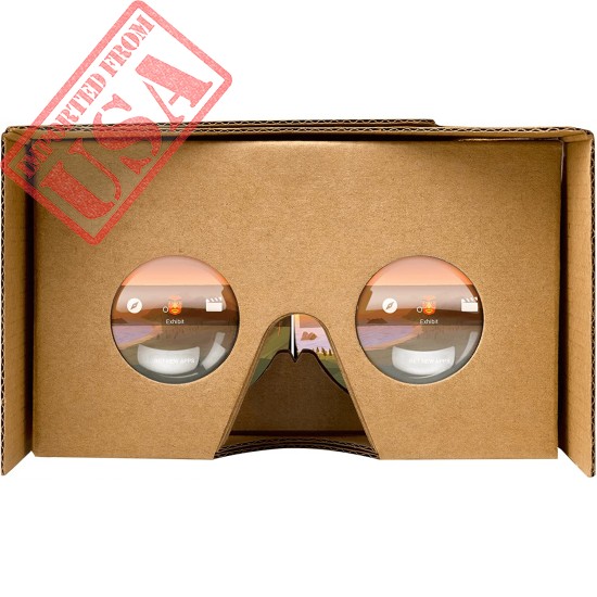 Google 87002823-01 Official Cardboard- 2 Pack, Brown