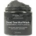 Dead Sea Mud Mask Best for Facial Treatment, Acne, Oily Skin & Blackheads - Minimizes Pores, Reduces Look of Wrinkles, and Improves Overall Complexion. Natural-Minerals From The Dead Sea 8.8 oz