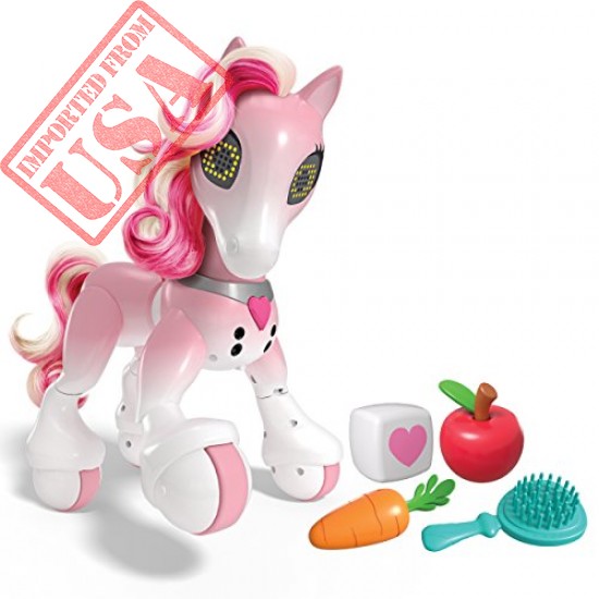 Buy zoomer Show Pony Online in Pakistan