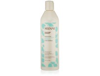 Shop Mizani Scalp Care Pyrithione Zinc Antidandruff Shampoo Made In USA