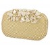 Buy Charming Tailor Evening Bag for Women Online in Pakistan