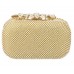 Buy Charming Tailor Evening Bag for Women Online in Pakistan