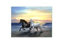 Buy Hot Sale!!5D Embroidery Paintings Online in Pakistan