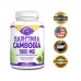 Buy CB Essentials LLC Pure Garcinia Cambogia Extract for Weight Loss Online in Pakistan