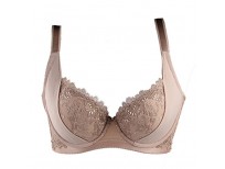 Buy HFDSTRH GHRHA Bra Online in Pakistan