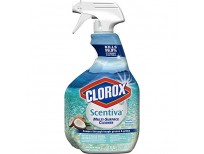 Buy Online Clorox Surface Cleaner with best Fragrance