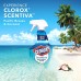 Buy Online Clorox Surface Cleaner with best Fragrance
