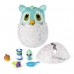 Shop Hatchimals HatchiBabies Chipadee Hatching Egg with Interactive Pet Baby in Pakistan