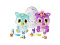 Shop Hatchimals HatchiBabies Chipadee Hatching Egg with Interactive Pet Baby in Pakistan