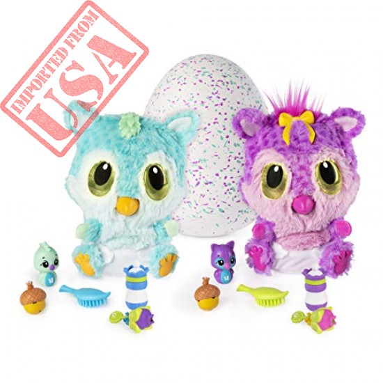 Shop Hatchimals HatchiBabies Chipadee Hatching Egg with Interactive Pet Baby in Pakistan