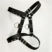 Shop Leather Body Chest High Elastic Belt for Men Imported from USA