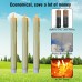 Buy Original Flameless Candles Imported from USA
