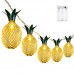 Buy online Premium Quality Pineapple string Lights for party and wedding decoration in Pakistan 