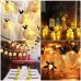 Buy online Premium Quality Pineapple string Lights for party and wedding decoration in Pakistan 